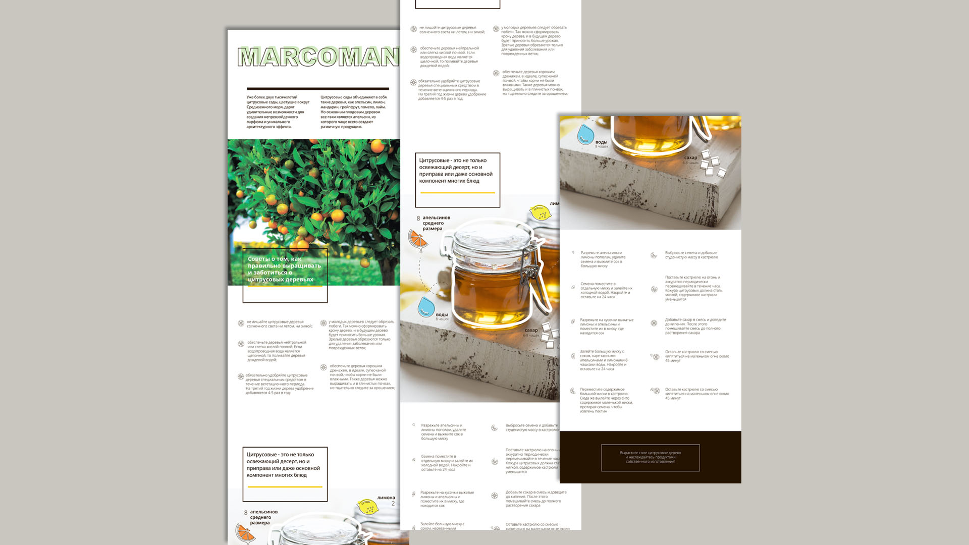 Branding Box: Newsletter Marcoman